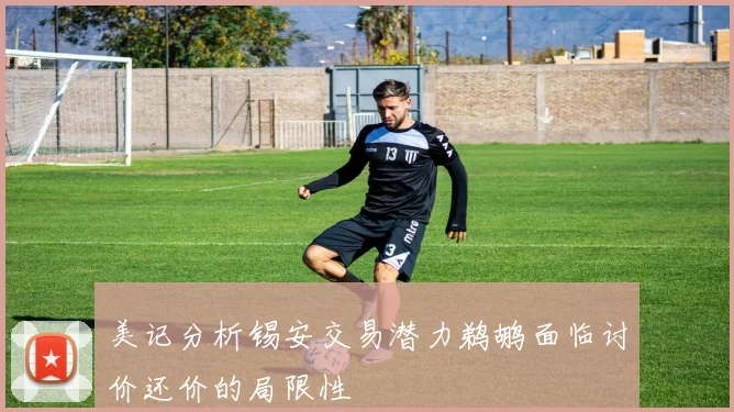 美记分析锡安交易潜力鹈鹕面临讨价还价的局限性