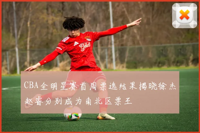 CBA全明星赛首周票选结果揭晓徐杰赵睿分别成为南北区票王
