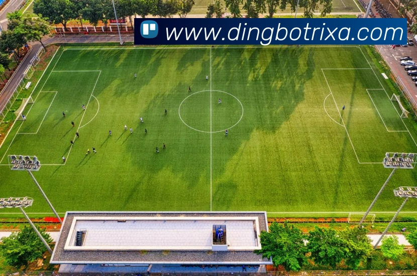 鼎博体育平台生态图